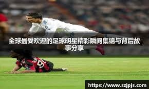 乐天桃猿网罗新洋投魔尔曼 看重两大关键：续航与球威